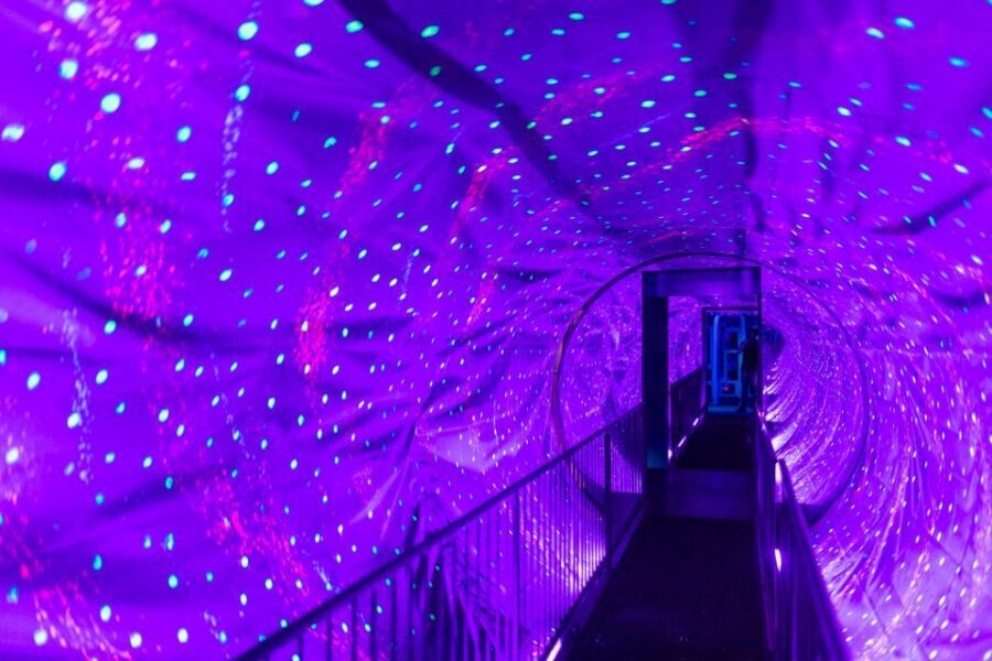 Amsterdam 1-Hour Canal Cruise and Ripley’s Believe it or Not - How to plan your timing without feeling rushed