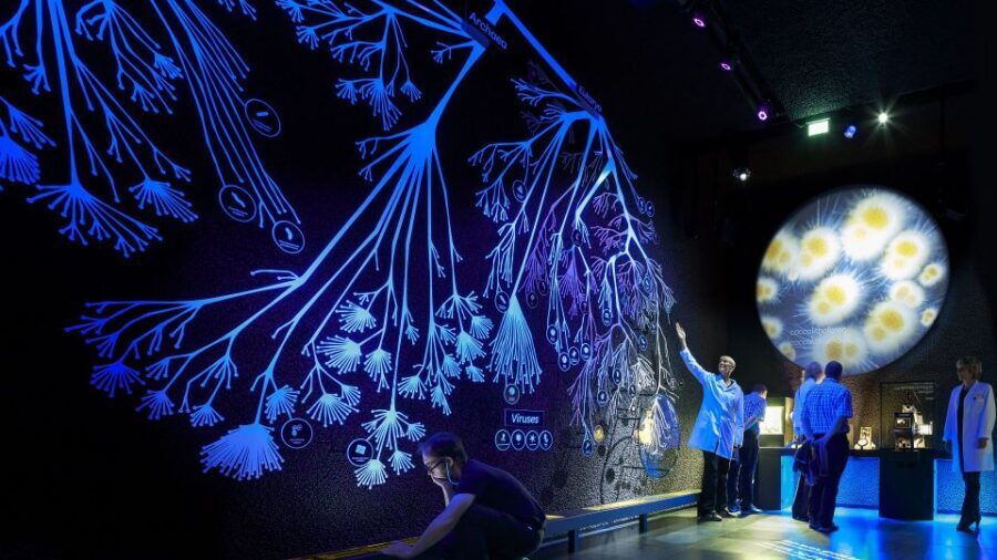 Amsterdam: ARTIS-Micropia Microbe Museum Entry Ticket - Planning Your Time: How Long You’ll Really Need
