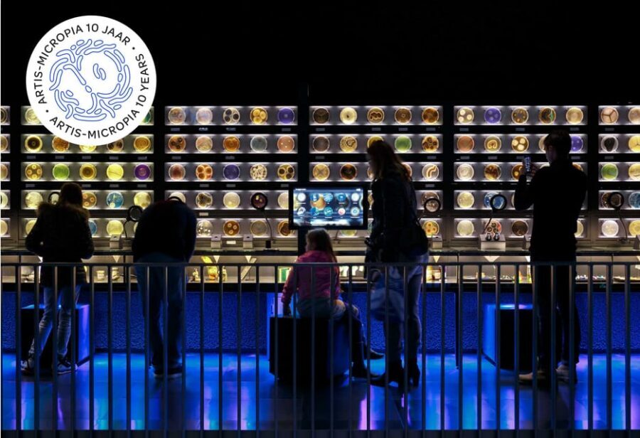 Amsterdam: Artis Royal Zoo & ARTIS-Micropia Combo Ticket - When to schedule Micropia: your time slot and how to plan your day
