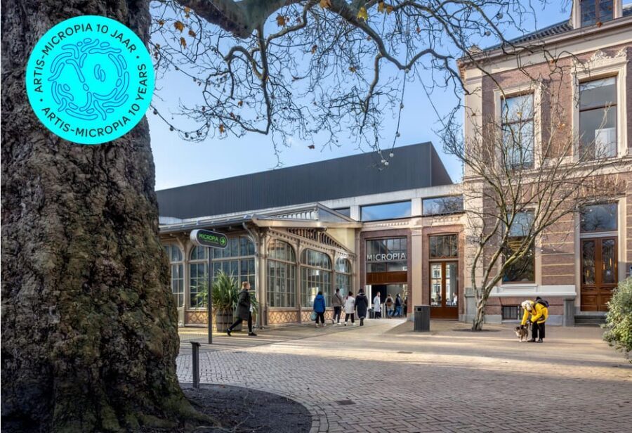 Amsterdam: Artis Royal Zoo & ARTIS-Micropia Combo Ticket - The animal lineup: elephants, lions, gorillas, penguins, and more