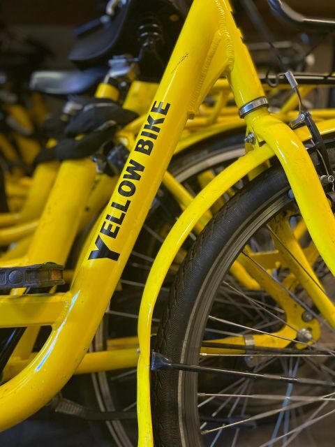 Amsterdam Bike Rental: Central Station & City Center - Why Bike Freedom Is the Real Value Here