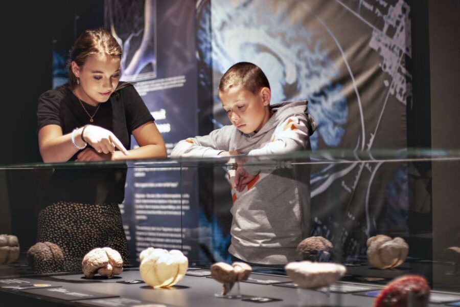 Amsterdam: Body Worlds Exhibition and Canal Cruise - Should you book this Amsterdam experience?