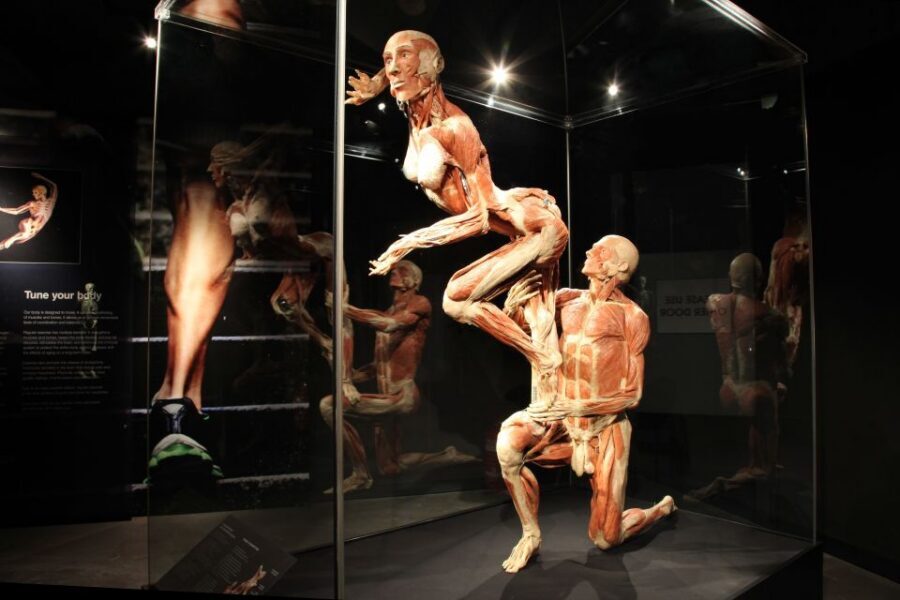 Amsterdam: Body Worlds Exhibition and Canal Cruise - The canal cruise: UNESCO canals plus GPS audio