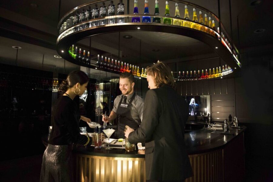 Amsterdam: Bols Cocktail Experience and Cocktail Workshop - The Cocktail Workshop With a Bartender: Make 2–3 Drinks You Can Recreate