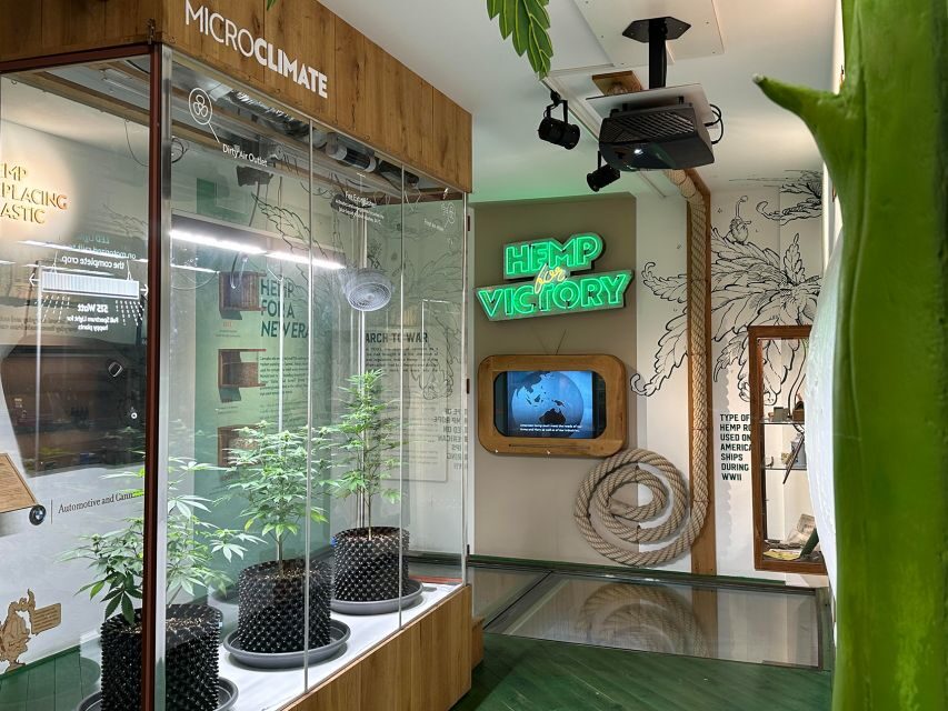 Amsterdam: Cannabis Museum Entry Ticket - What This Cannabis Museum Experience Is Really Like