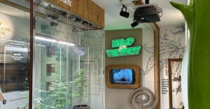 Amsterdam: Cannabis Museum Entry Ticket - The $14 Ticket Value: More Than a Quick Look