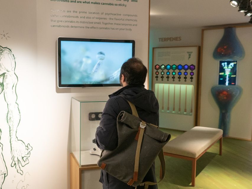 Amsterdam: Cannabis Museum Entry Ticket - The 3-Floor Layout: How the Story Moves