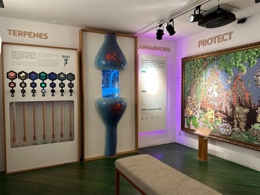 Amsterdam: Cannabis Museum Entry Ticket - History Meets the Dutch Coffee-Shop Reality