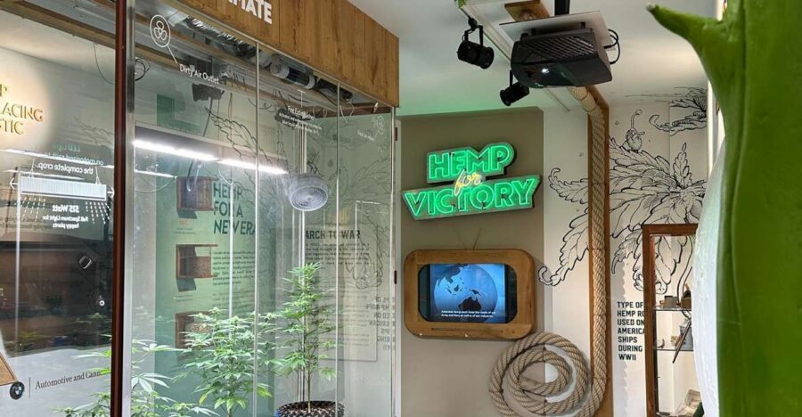 Amsterdam: Cannabis Museum Entry Ticket - The $14 Ticket Value: More Than a Quick Look