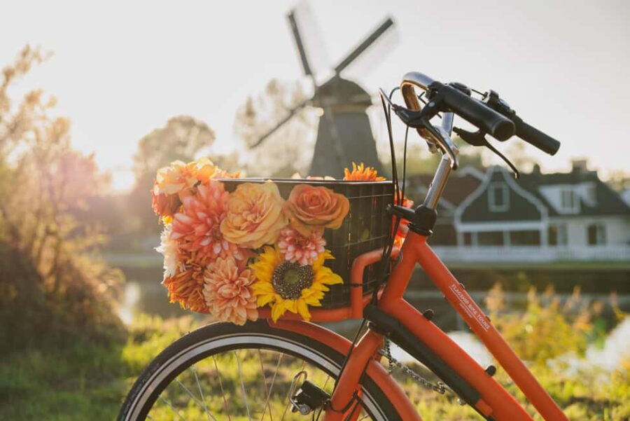 Amsterdam: Cheese Tasting, Windmill & Countryside Bike Tour - IJ River + Durgerdam: where the ride gets scenic
