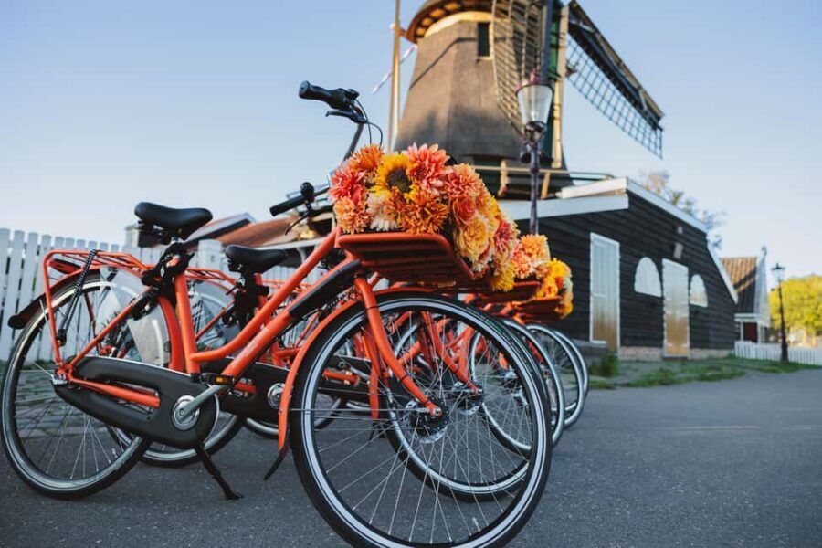 Amsterdam: Cheese Tasting, Windmill & Countryside Bike Tour - Windmill expectations: what you will and won’t see