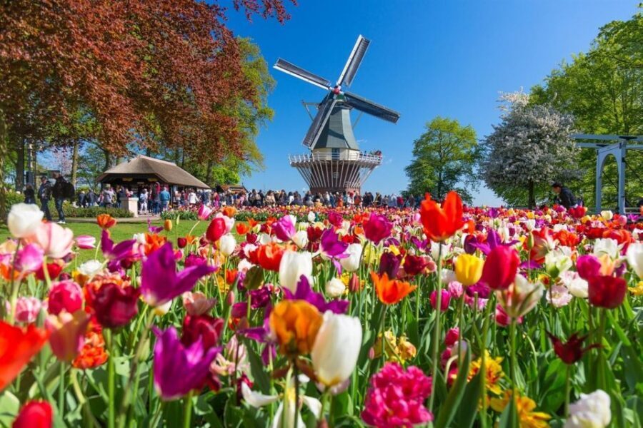 Amsterdam: Day Tour Keukenhof and Zaanse Schans Windmills - Hop-on hop-off return buses: the freedom piece