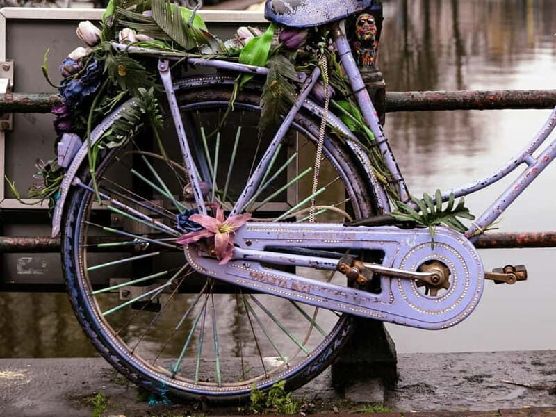 Amsterdam: Iconic Canals & Historic Sights Walking Tour - Key Things You’ll Notice on This Walk