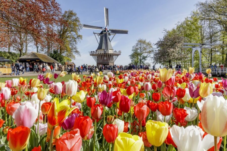 Amsterdam: Keukenhof and Zaanse Schans Live Guided Day Tour - Who should book this tour, and who should skip it