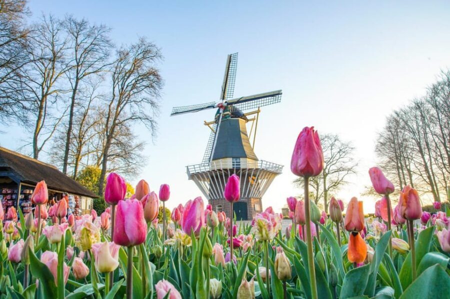 Amsterdam: Keukenhof and Zaanse Schans Live Guided Day Tour - Meeting at Amsterdam Central and getting onto the coach fast