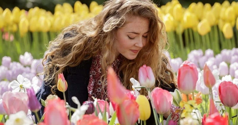 Amsterdam: Keukenhof Entry & Shuttlebus with Flexible Return - Should you book the Amsterdam–Keukenhof shuttle with flexible return?