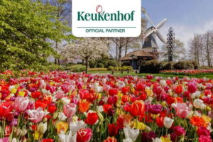 Amsterdam: Keukenhof Entry & Shuttlebus with Flexible Return - Ticket pickup at This is Holland: the part you should not rush