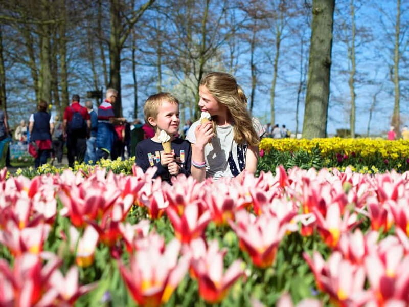 Amsterdam: Keukenhof Entry & Shuttlebus with Flexible Return - The coach ride: comfortable, direct, and built for real schedules