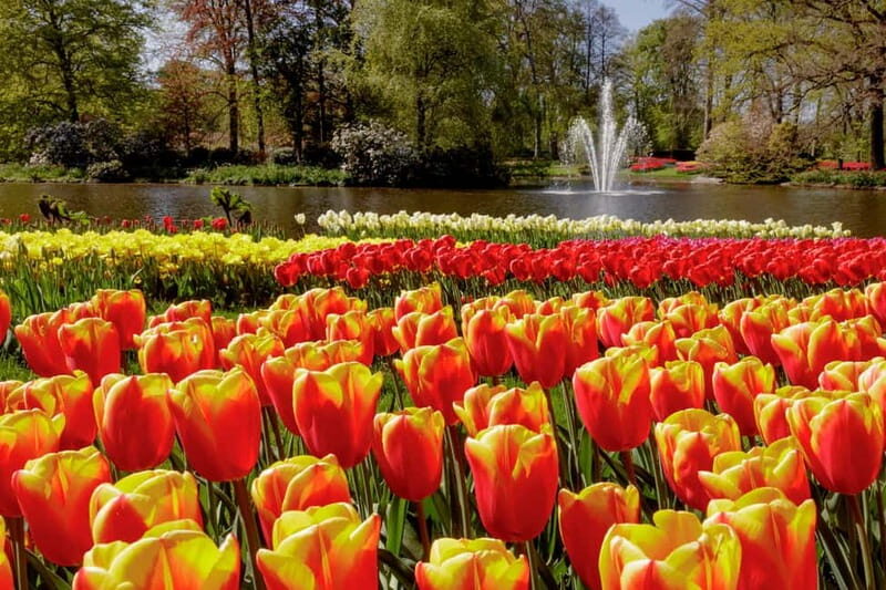 Amsterdam: Keukenhof Entry & Shuttlebus with Flexible Return - Food and money: where the value feels strong (and where it doesn’t)