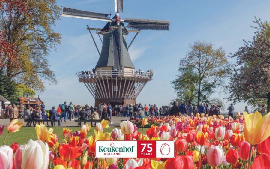 Amsterdam: Keukenhof Entry & Shuttlebus with Flexible Return - Who this Amsterdam Keukenhof shuttle is for