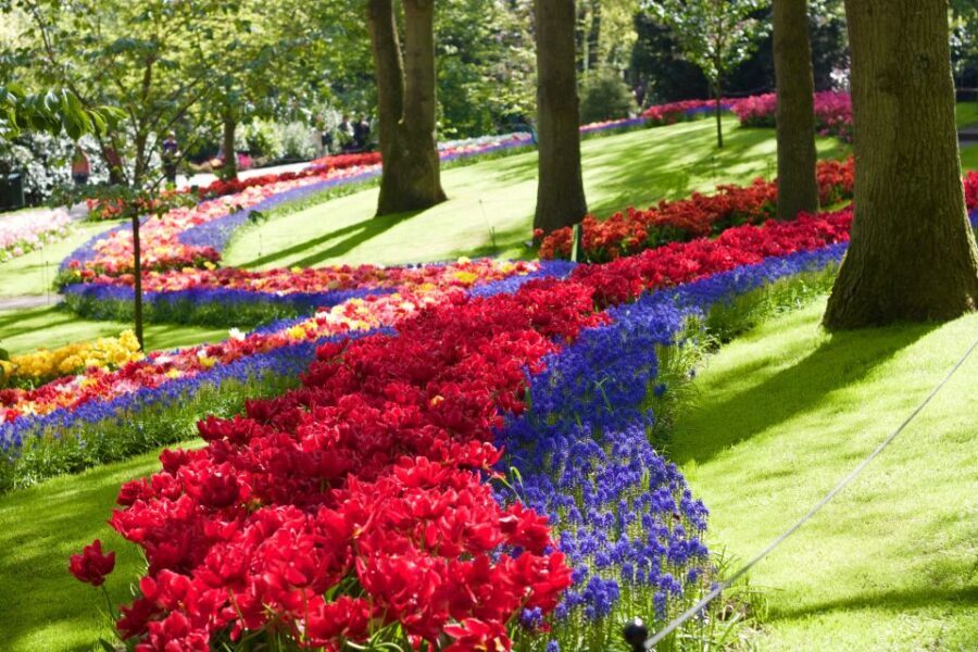 Amsterdam: Keukenhof Ticket with Shuttle Bus + Canal Cruise - Price and Value for This $64 Amsterdam Spring Combo