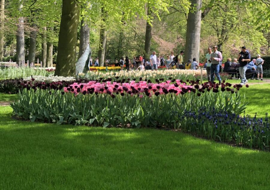 Amsterdam: Keukenhof Tulip Garden and Giethoorn Experience - The Keukenhof Feel: Family-Friendly, Not Just Pretty