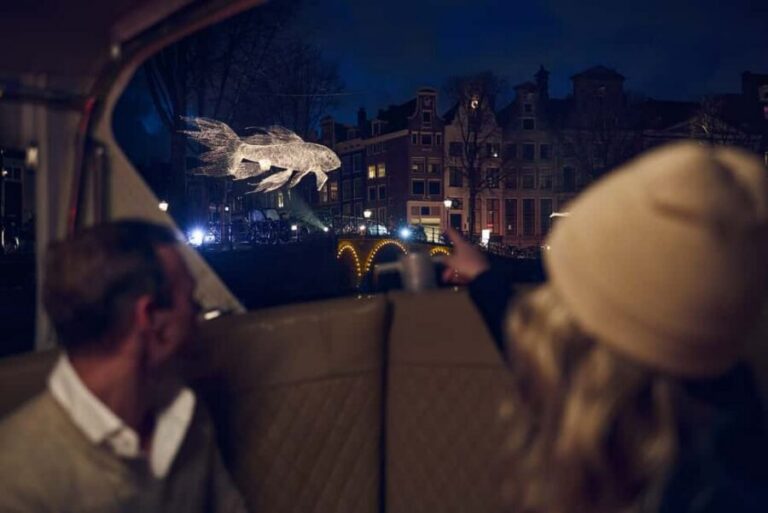 Amsterdam: Light Festival Boat with Unlimited Drinks & Snack - Who this Amsterdam Light Festival cruise is best for