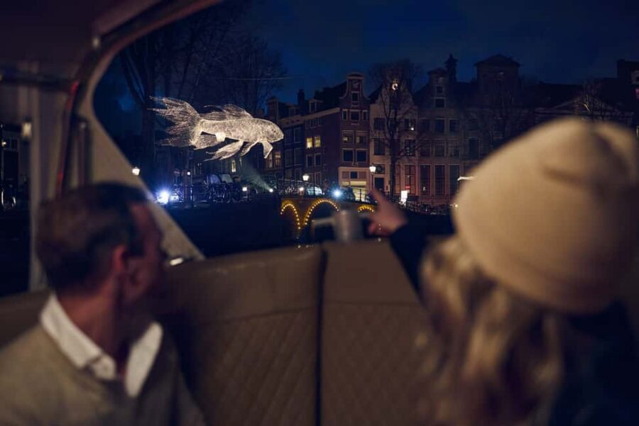 Amsterdam: Light Festival Boat with Unlimited Drinks & Snack - Who this Amsterdam Light Festival cruise is best for