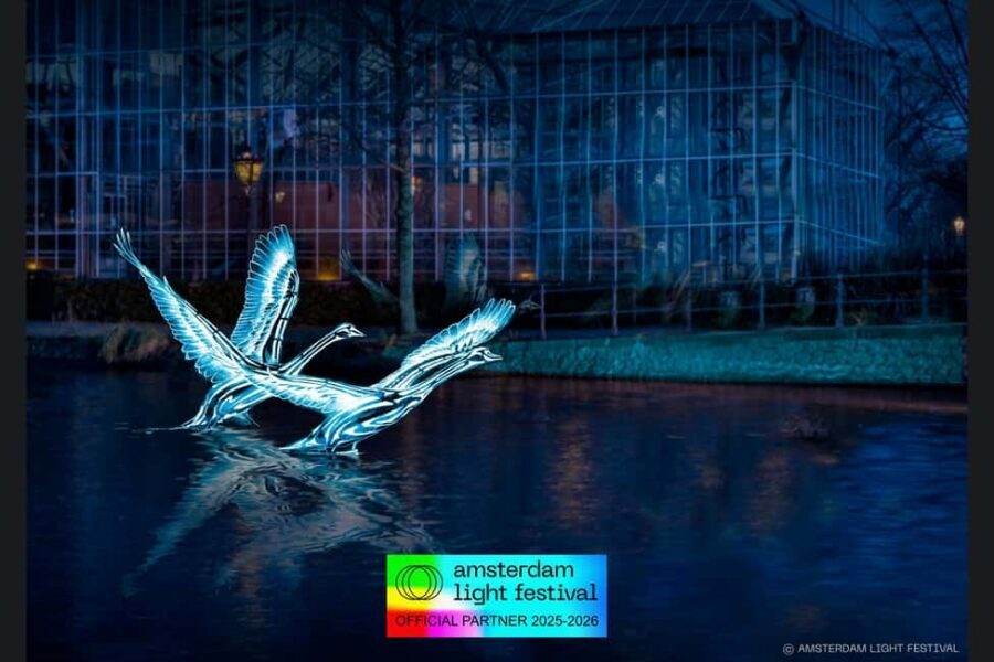 Amsterdam: Light Festival Cruise + Stroopwafel & Hot Choco - How the Light Festival stories land from the water