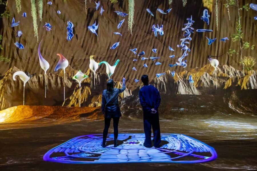 Amsterdam: Nxt Museum 'Still Processing' Exhibition Ticket - Key points