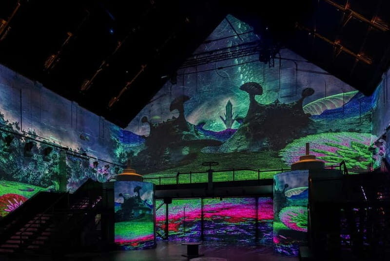 Amsterdam: Prehistoric Planet Immersive Experience Ticket - Seating, Movement, and the Practical Stuff That Affects Enjoyment