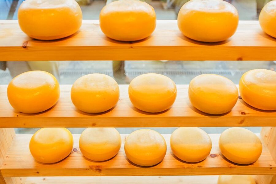 Amsterdam: Premium Henri Willig Cheese Tasting Experience - Price and value: is $21 worth it?