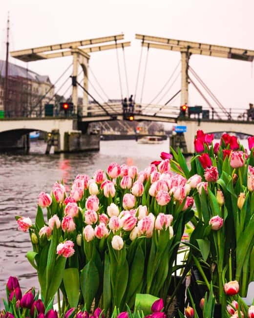 Amsterdam: Premium Tulip Boat Canal Tour - Anne Frank House Views From the Water: Meaning Without the Grind