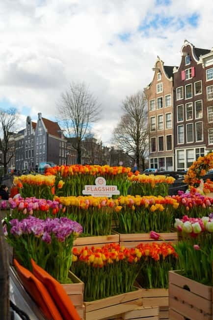Amsterdam: Premium Tulip Boat Canal Tour - Who This Tulip Cruise Fits Best (and Who Might Want Something Else)