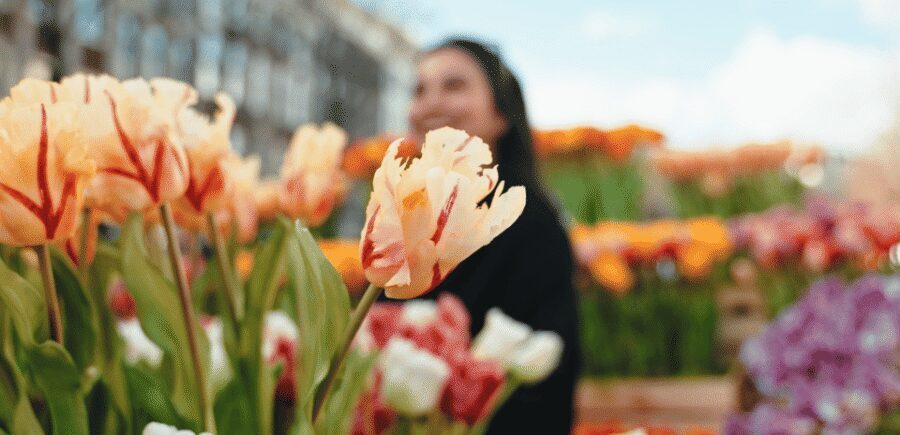 Amsterdam: Premium Tulip Boat Canal Tour - Should You Book This Premium Tulip Boat Canal Tour?