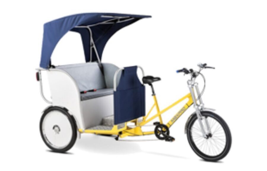 Amsterdam: Private Guided City Tour by Pedicab - IJ Bay, Chinatown, and the Museum Quarter: seeing more than the postcard core