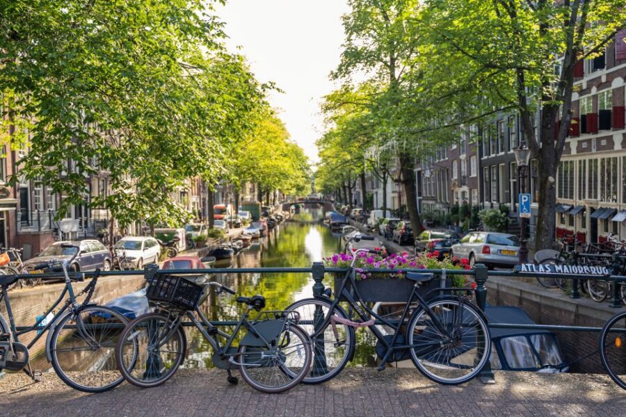 Amsterdam Small-Group Walking Tour - Key highlights to look for