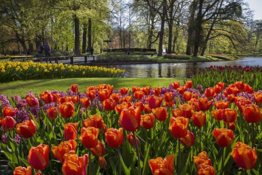 Amsterdam: Tour to Keukenhof Gardens with Windmill Cruise - Who This Tour Fits Best (And Who Might Not)