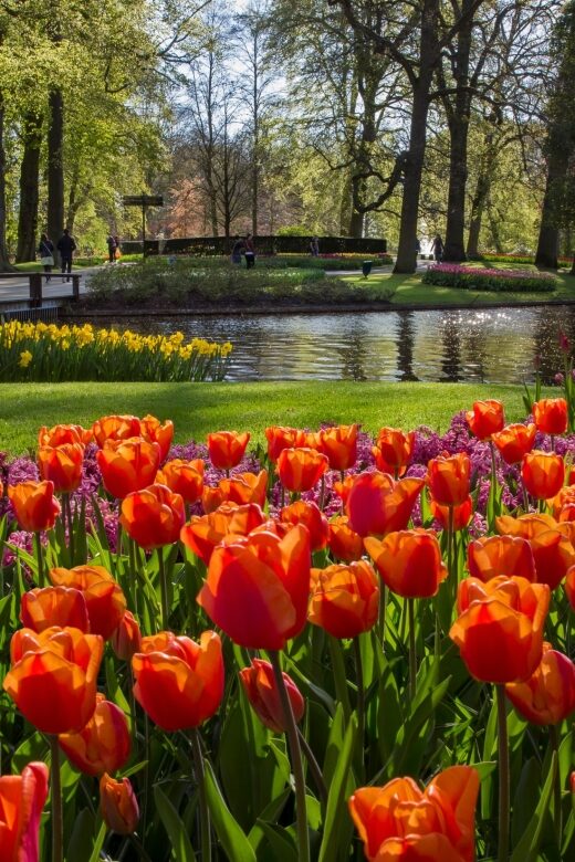 Amsterdam: Tour to Keukenhof Gardens with Windmill Cruise - Getting There: The This is Holland Start (Ferry + Quick Walk)