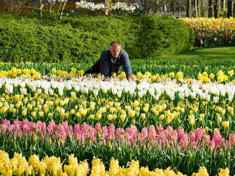 Amsterdam: Tulip Farm Visit, Keukenhof, and Windmill Cruise - Kagerplassen windmill cruise: the 1-hour reset your legs will thank you for