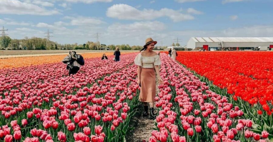 Amsterdam: Tulip Farm Visit, Keukenhof, and Windmill Cruise - How the day flows: timing, bus comfort, and when to take it slow