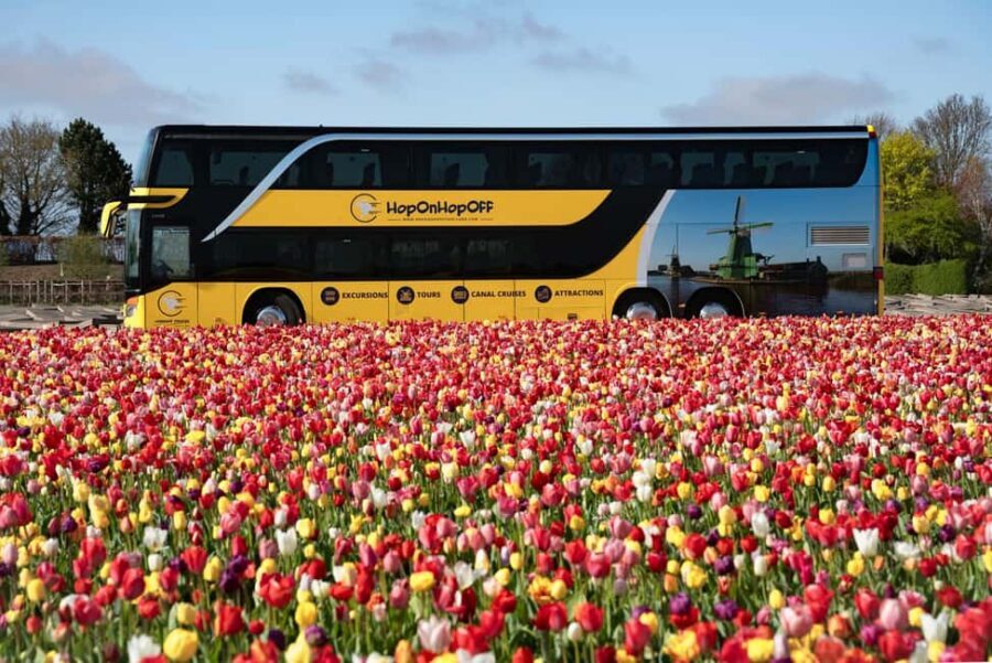 Amsterdam: Tulip Farm Visit, Keukenhof, and Windmill Cruise - Price and value: what 99 per person really buys you