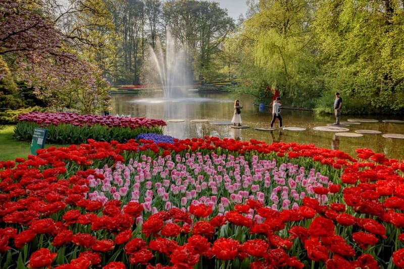 Amsterdam: Tulip Farm Visit, Keukenhof, and Windmill Cruise - Should you book this Amsterdam Keukenhof and tulip farm day trip?