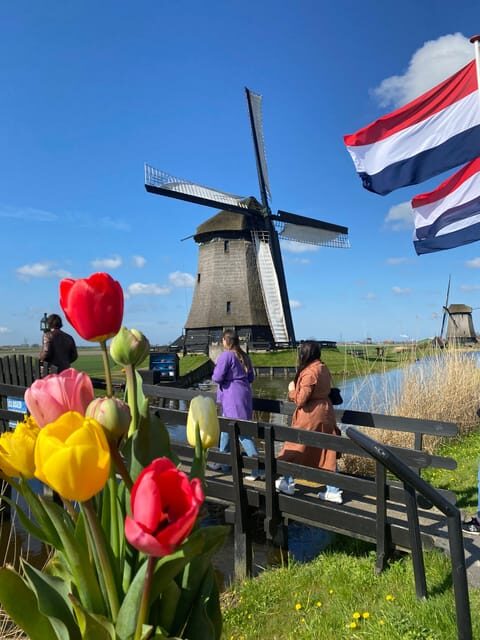 Amsterdam: Tulip Fields Day Tour with Lunch & Windmill - Why North Holland tulip farms feel better than the famous garden route
