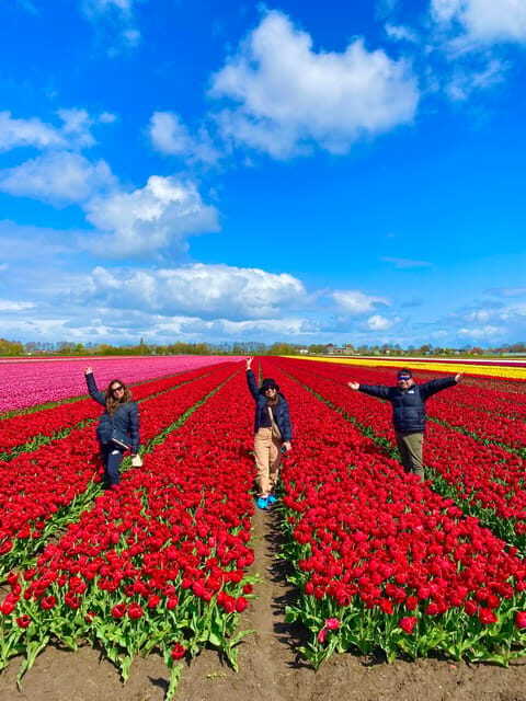 Amsterdam: Tulip Fields Day Tour with Lunch & Windmill - Price and value: what $143 buys you (and what to watch)