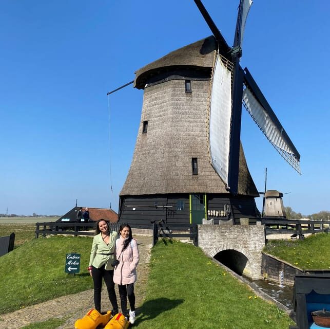Amsterdam: Tulip Fields Day Tour with Lunch & Windmill - Who should book this tour, and who should skip it