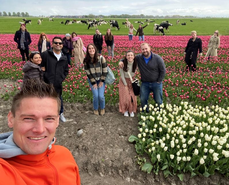 Amsterdam: Tulip Fields Day Tour with Lunch & Windmill - Should you book the Amsterdam Tulip Fields Day Tour with Lunch & Windmill?