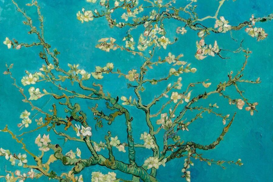 Amsterdam: Van Gogh Museum Ticket and City Canal Cruise - Two top sights, one ticket plan (and why that matters)