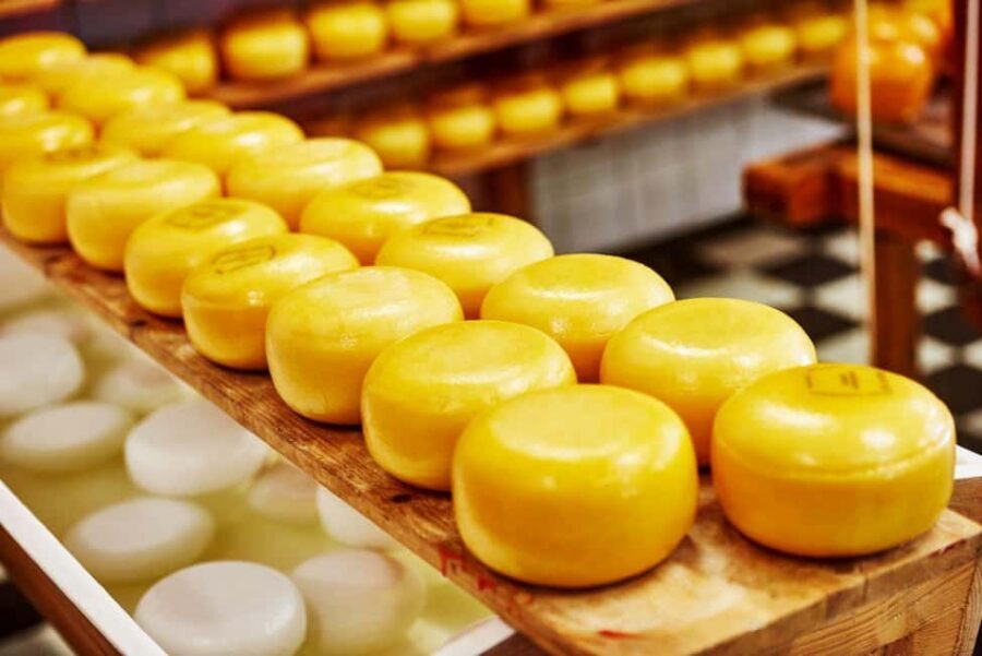 Amsterdam: Zaanse Schans, Cheese Tasting & Volendam Tour - Timing Tip: Use Your Free Time Strategically