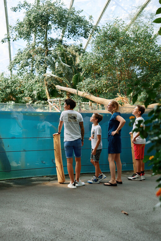 Arnhem: Burgers' Zoo Entry Ticket - Key things to know before you go